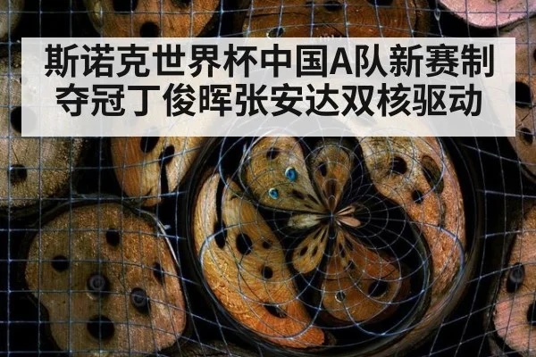 斯诺克世界杯中国A队新赛制夺冠丁俊晖张安达双核驱动